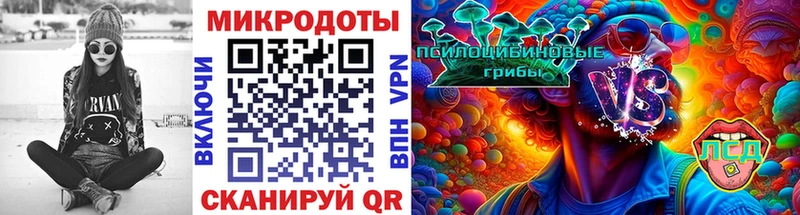 Галлюциногенные грибы прущие грибы  Иркутск 