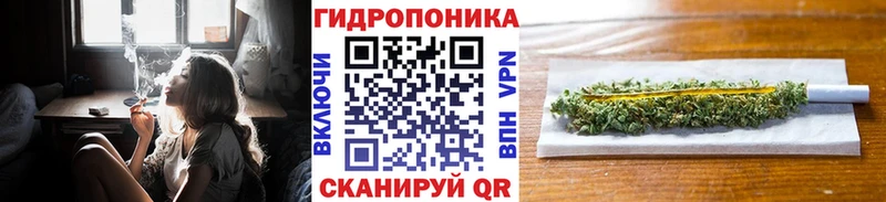 Бошки марихуана гибрид  mega ссылка  Иркутск 